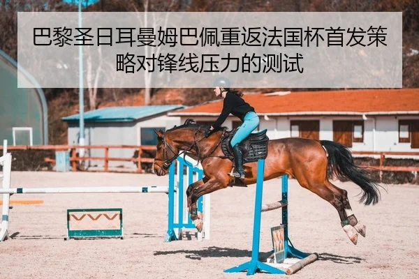 ba-li-sheng-ri-er-man-mu-ba-pei-chong-fan-fa-guo-bei-shou-fa-ce-lve-dui-feng-xian-ya-li-de-ce-shi-1-504.jpg